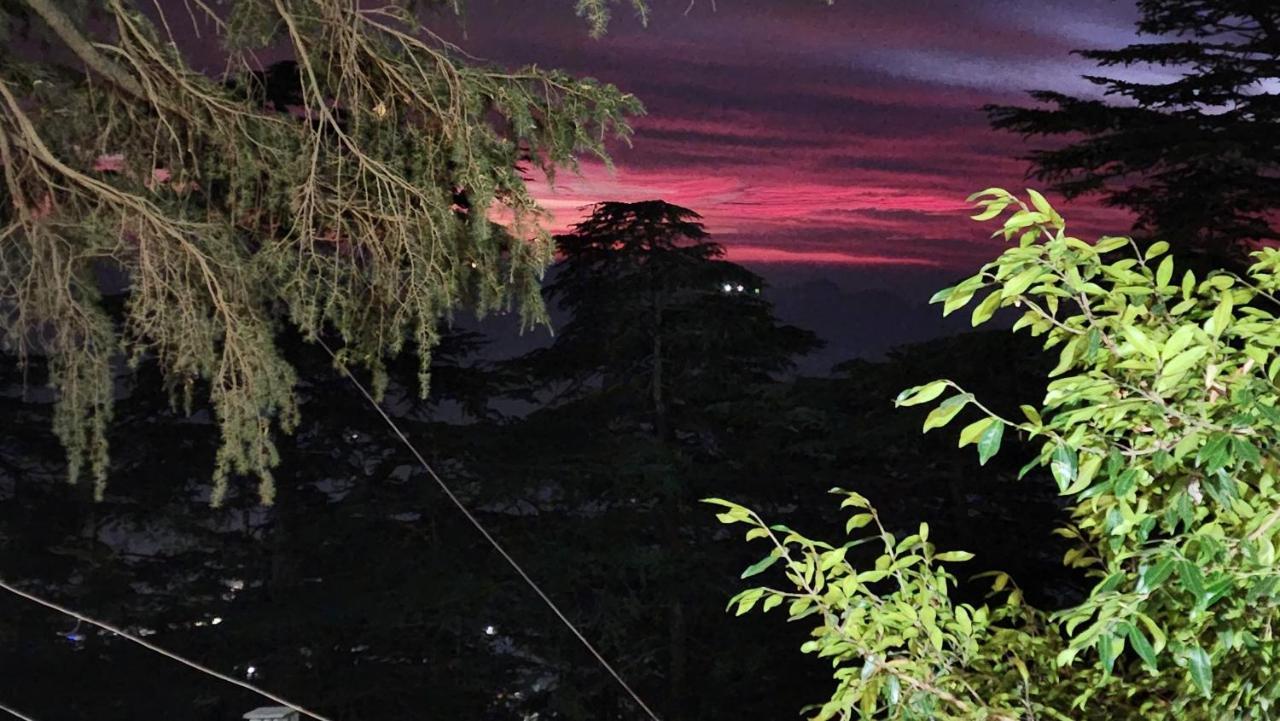 Glen View Heritage Homestay Shimla Eksteriør billede
